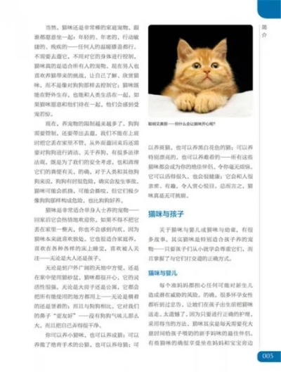 (我的宠物猫2)我的宠物书人气猫咪养成计:如何培养一只受欢迎的猫咪 (我的宠物猫2)我的宠物书人气猫咪养成计:如何培养一只受欢迎的猫咪