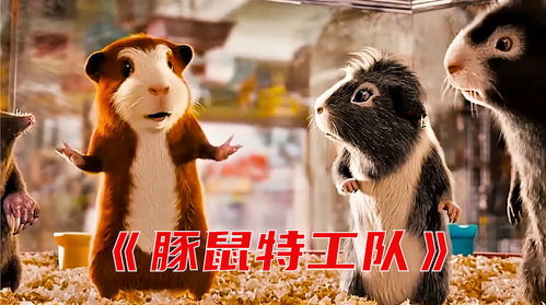 全网独播:豚鼠特工队国语版在线观看,无需等待的高清视觉盛宴 全网独播:豚鼠特工队国语版在线观看,无需等待的高清视觉盛宴