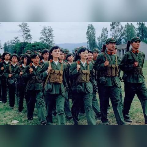 (航海王燃烧意志,官方)航海王燃烧意志官服,挑战海洋的极限,追逐自由的梦想