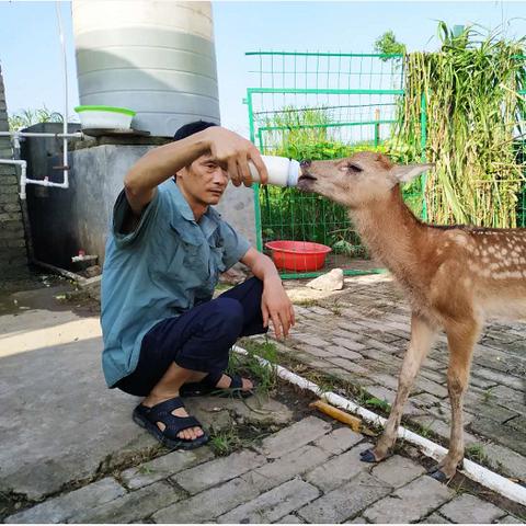 (太平洋任务怎么过)血戔太平洋攻略:如何巧妙解救船上被困的人员并成功完成任务 (太平洋任务怎么过)血戔太平洋攻略:如何巧妙解救船上被困的人员并成功完成任务