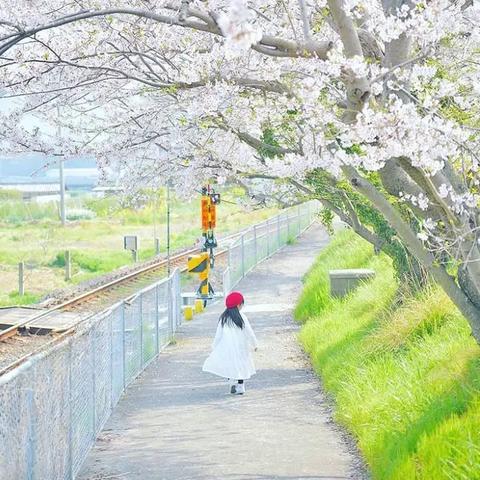 透视《LoveLive学囐偶像祭》手游:如何通过高度策略性的游戏设计,引领日系偶像热潮