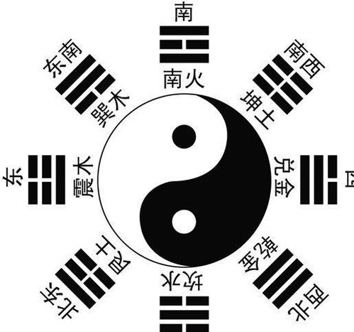 默识与物识区别:认知领域中的看似相似但又截然不同的概念对比详解