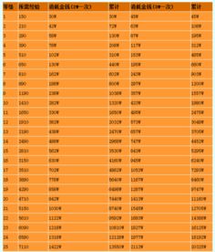 梦幻之城单项价目表全解析:详细介绍各项服务及价格,让你轻松计划游玩预算