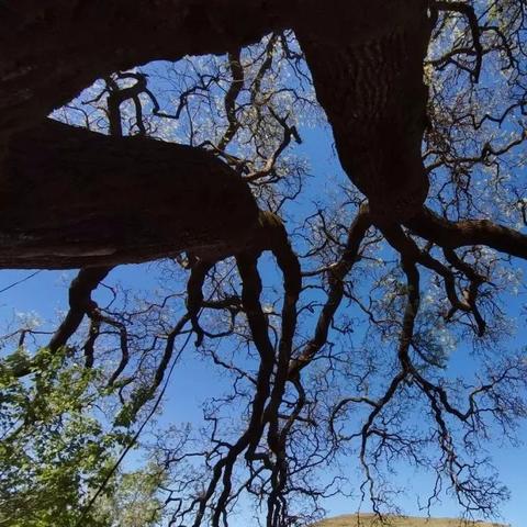 (探索历史遗迹的神秘之旅,探寻时间的印记是什么)探索历史遗迹的神秘之旅，探寻时间的印记