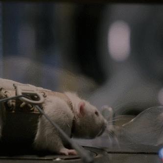 (异星觉醒有第2部吗)异星觉醒有第二部吗？续集或独立发展的传说