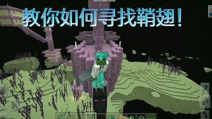 (探寻新世界的卡密之谜:寻找卡密的奇幻之旅在线观看)探寻新世界的卡密之谜：寻找卡密的奇幻之旅