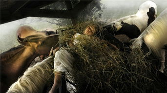 (伊甸园的毁灭)伊甸园是被摧毁了吗？人类的贪婪与破坏对自然的影响