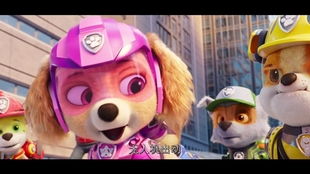 汪汪队奇奇:超级可爱的狗狗小队,勇敢保护着世界上的每一个角落 汪汪队奇奇:超级可爱的狗狗小队,勇敢保护着世界上的每一个角落