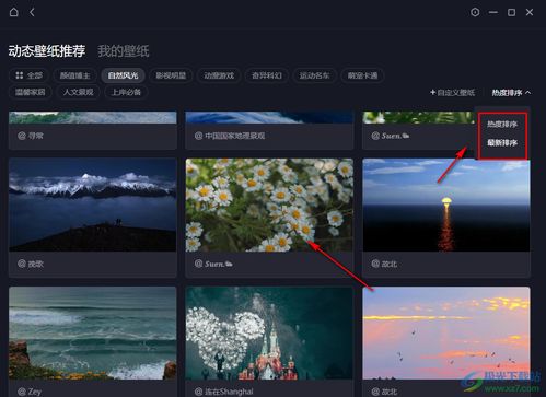 (如何给电脑桌面设置动态壁纸)如何设置电脑桌面动态壁纸：详细步骤与实用技巧解析