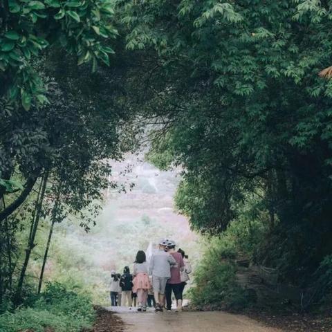 魔法仙踪:拯救妈妈的冒险之旅,穿越幻想之境,寻找力量的奇迹 魔法仙踪:拯救妈妈的冒险之旅,穿越幻想之境,寻找力量的奇迹
