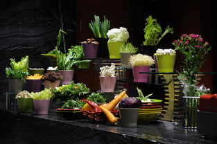 (梦幻花园温馨餐厅)探寻梦幻花园烹饪之旅:美味菜谱大全与你分享