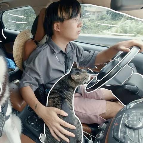 (奇幻世界英雄宠物任务)探索奇幻世界，抓宠物成为冠军的手游大作