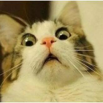 (乱炖江湖漫画原著)探究乱煮江湖这款游戏是何种类型，揭秘其魅力所在及玩法特点