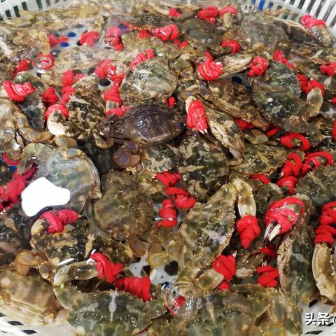 (砍价砍一刀什么意思)砍一刀，感受生活的鲜活之美：探索砍价文化背后的奥秘与乐趣