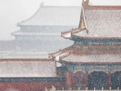 探秘传统文化之魅力：梦回白玉京内购，解析古代故宫建筑美学与皇室生活