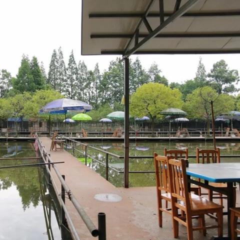 垂钓宗师无限金币无限钻石：探索无尽的财富之路，技高一筹称霸钓鱼界