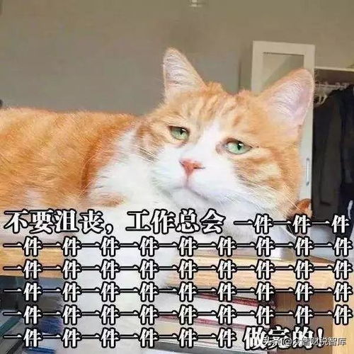 由于盈利能力欠佳，情绪表达工具——浣熊不高兴停运导致表情包爱好者失望