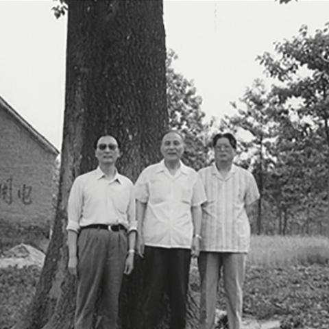 (沧海笑滔滔两岸潮求解)沧海笑滔滔两岸潮是什么歌，探寻中国古代诗词中的大海意境