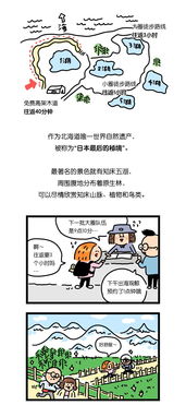 探索棋盘之上漫画在全球各地的称呼：揭秘差异与文化背后的故事