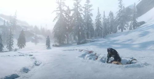 (形容打猎的句子)在荒野中追逐猎物：打猎如何形容