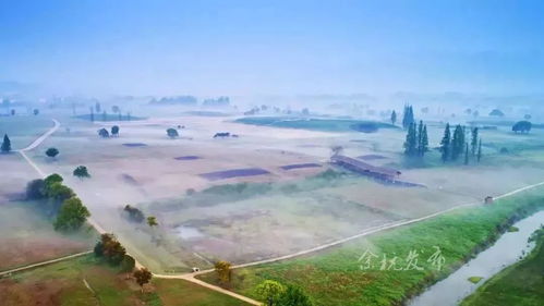 深入探索良渚人的生活环境:以考古、地理与历史文化融合的视角,揭示良渚古城遗址的居住地特征 深入探索良渚人的生活环境:以考古、地理与历史文化融合的视角,揭示良渚古城遗址的居住地特征