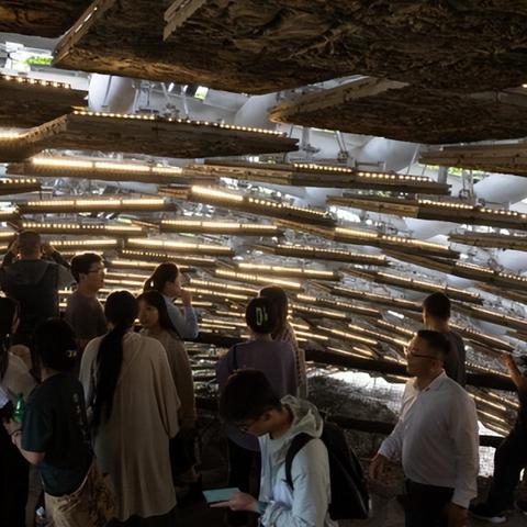 (第四纪出现了什么生物)第四纪的时间穿越亿万年的变迁，见证生命的演化与地球的变化