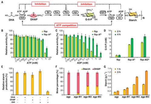 (每种纯净物的组成)不同来源的纯净物：天然、人造和人工合成的纯净物分类