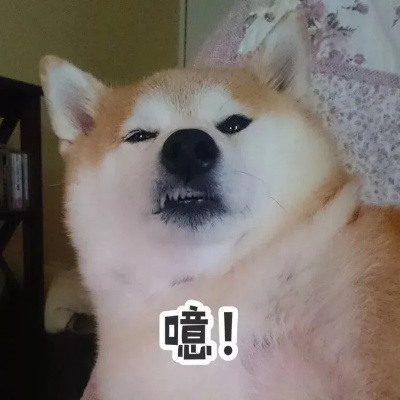 (甜狗的表情包)甜狗全部角色介绍图片：可爱狗狗们集体亮相，宠物界的新宠！