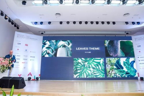 天之鸟装饰工程有限公司携手国际设计师，创新华美家居装饰风格