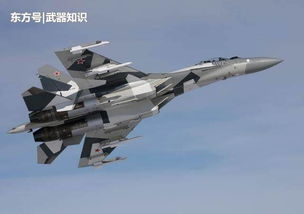 (王尔古雷为勇士喝彩)王尔古雷战斗机：揭秘2021年最新款战机装备及性能特点