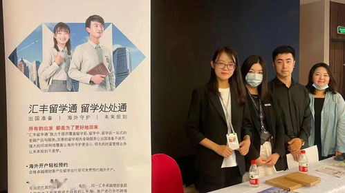 (球娘什么时候出第二季)真相即将揭晓！《球娘第二季》精彩剧情与角色发展大揭秘