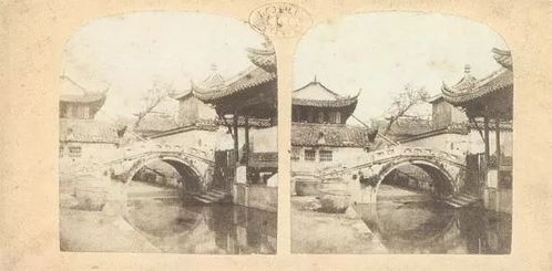 大江湖之苍龙与白鸟对联：传说中的绝世龙风与盛世白翎，交相辉映惊世绝艳