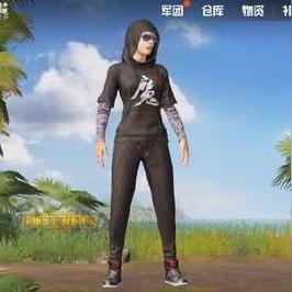 (使魔计划下载)探讨使魔计划光子服与正版的差异：从品质到功能再到价格