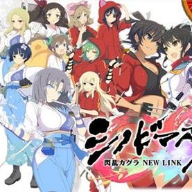 闪乱神乐沙滩戏水补丁怎么用？新手必看，步骤详细解析，游戏体验大幅提升！