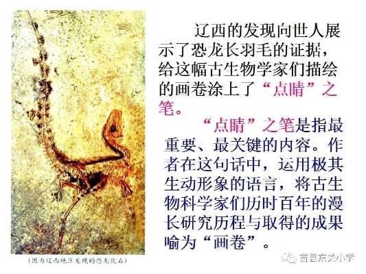 五年级上册介绍一种事物：活生生的恐龙化石，揭秘史前生物的神秘生活