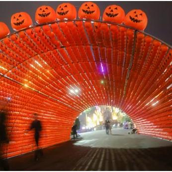 体验心跳女友游戏:沉浸式恋爱互动,探索虚拟世界中的激情与浪漫 体验心跳女友游戏:沉浸式恋爱互动,探索虚拟世界中的激情与浪漫