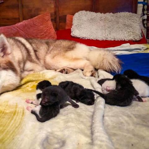 (动画片里的小英雄)寻找有个动画片叫什么小英雄:揭秘经典动画作品中的英雄故事 (动画片里的小英雄)寻找有个动画片叫什么小英雄:揭秘经典动画作品中的英雄故事