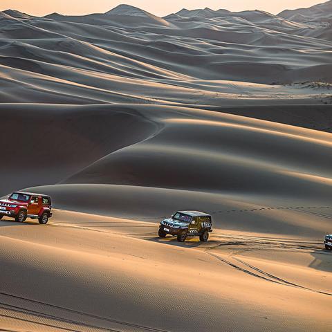 迎接挑战！猎人来了游戏讲解：玩法攻略、技巧分享、策略指导详解