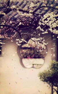 (醉唐风原创古装艺术摄影)醉唐风流：品味古代文人风雅之美，探索唐代诗词之魅力