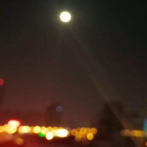 虫虫大作战2游戏:挑战无尽的虫虫对战,体验刺激快节奏的动作游戏乐趣