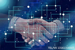 (超音速数据)探讨冠军超音速离线技术的应用及未来发展前景