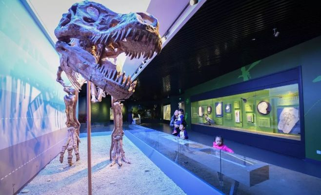 (自然博物馆开馆日期)2029年自然博物馆新馆试运营,体验自然之美的全新时代即将开启 (自然博物馆开馆日期)2029年自然博物馆新馆试运营,体验自然之美的全新时代即将开启