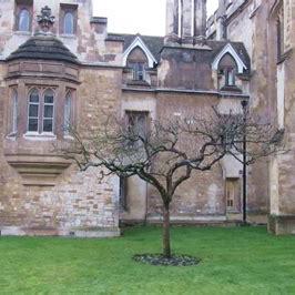 深度探索：揭秘游戏《我的舅舅是魔法师》中，如何运用角色塑造与魔法元素吸引玩家的独特魅力