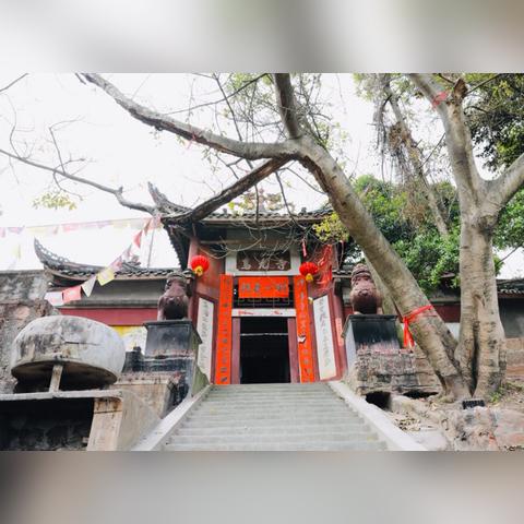 (八荒仙帝)八荒仙缘:踏遍神州,探寻仙道血脉与众生羁绊的传奇旅程 (八荒仙帝)八荒仙缘:踏遍神州,探寻仙道血脉与众生羁绊的传奇旅程