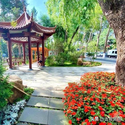 口袋b计划网址是什么？探寻最新的口袋b计划网址信息及其相关资讯