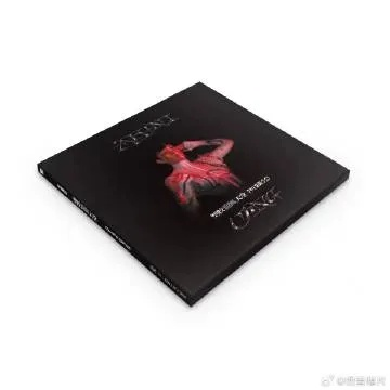 探讨摄影艺术与影视表演惯用手法的融合：以‘光影同行,巧扼右翼’为引领的跨界实践与研究