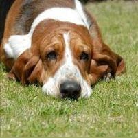 以激情与策略并重的奔跑吧球球小游戏,探索移动互动娱乐的无限可能性 以激情与策略并重的奔跑吧球球小游戏,探索移动互动娱乐的无限可能性