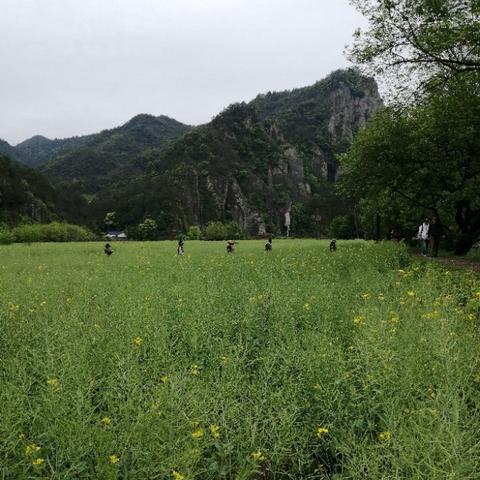 (云端问仙的云端仙境怎么过)在云端问仙,探寻最高境界之秘