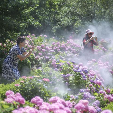 (醉八仙白酒)从神话传说到现实饮品:探索醉八仙酒的起源和传承 (醉八仙白酒)从神话传说到现实饮品:探索醉八仙酒的起源和传承
