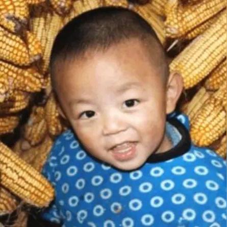 全面解析:命运骑士团阵容的最佳搭配与策略,让你在战斗中事半功倍 全面解析:命运骑士团阵容的最佳搭配与策略,让你在战斗中事半功倍